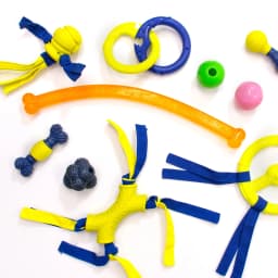 Nylabone Power Play Crazy-Ball Dog Toy, Dog Balls, Interactive Dog Toys, Large - Thumbnail 11