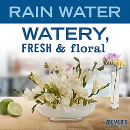 MRS. MEYER'S CLEAN DAY Liquid Dish Soap Refill, Biodegradable Formula, Rain Water, 48 fl. oz - Thumbnail 3