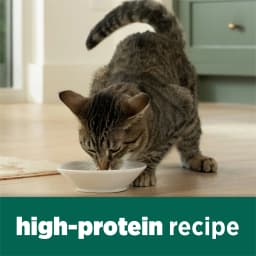 Purina Cat Chow Naturals Chicken Flavor Dry Cat Food, 18 lb Bag - Thumbnail 4