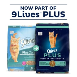 9Lives PLUS Urinary Tract Health Dry Cat Food, 15.5 lb. Bag - Thumbnail 2