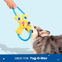 BARK Jinxie Blue Yellow Play Pal Buddy Plush Dog Toy, All Size Dogs - Thumbnail 6