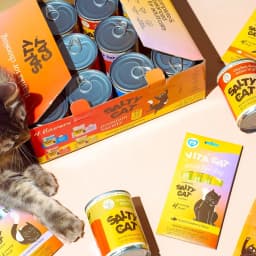 (6 pack) Salty Cat Chicken Dinner Mince in Gravy Wet Cat Food, 13 oz. Can - Thumbnail 3