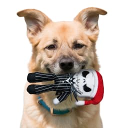 Nightmare Before Christmas Jack Plush Dog Toy - Thumbnail 6