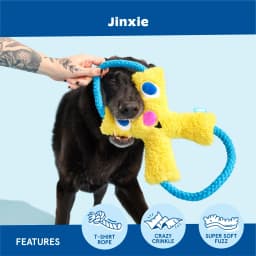 BARK Jinxie Blue Yellow Play Pal Buddy Plush Dog Toy, All Size Dogs - Thumbnail 4