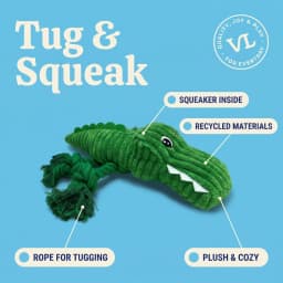 Vibrant Life Green Alligator Plush Dog Toy with Squeaker, Chew Level 3 - Thumbnail 5