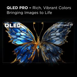 TCL 43â€ Class Q6 QLED 4K UHD HDR Smart Google TV (NEW 2024) - 43Q651G - Thumbnail 3