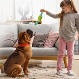 Aelflane Tough Dog Toys,Dog Toys for Aggressive Chewers,Indestructible Dog Toys for Large Breed,Durable Dog Toys for Large Dogs,Bacon Flavor,Green - Thumbnail 6