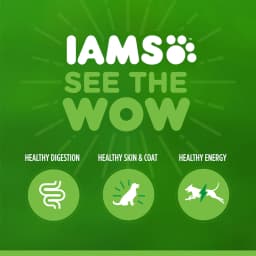 Iams Proactive Health Chicken Dry Cat Food For Kittens, 7 Lb Bag - Thumbnail 14