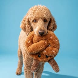 Vibrant Life Brown Pretzel Plush Dog Toy with Squeaker, Chew Level 1 - Thumbnail 2