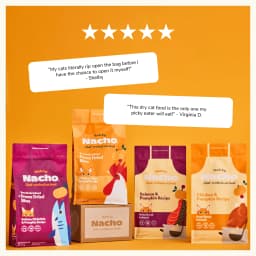 Made by Nacho Dry Cat Kibble, Infused with Bone Broth for Hydration, Cage-Free Chicken & Pumpkin Recipe, High Protein and Grain-Friendly Premium Cat Food, Limited Ingredients, 3lb Bag - Thumbnail 6