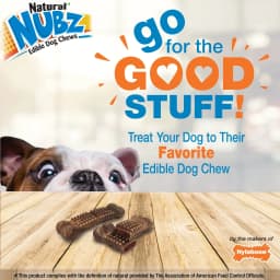 Nylabone Nubz Meaty Center Dog Treats for Large Dogs, Beef Flavor Dog Bones, Large - 30+ lbs., 2 Count - Thumbnail 2