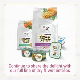 Purina Fancy Feast Dry Cat Food Filet Mignon Flavor with Seafood and Shrimp, 3 lb Bag - Thumbnail 7