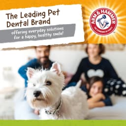 Arm & Hammer Nubbies Duality Bone Durable Dental Dog Chew Toy - Thumbnail 5