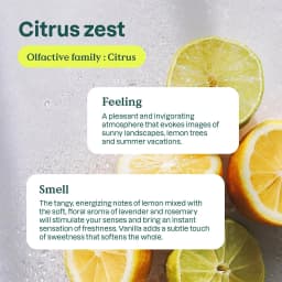 Attitude Dish Soap, Citrus Zest, 23.7 Oz - Thumbnail 4