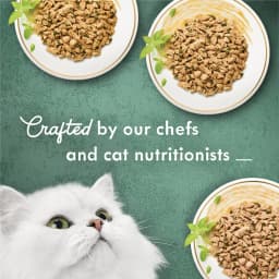 Purina Fancy Feast Medleys Shredded Fare Collection Wet Cat Food Variety Pack, 3 oz Cans (12 Pack) - Thumbnail 5