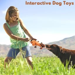 Xekoro Squeaky Dog Toys, Tug of War Dog Toy for Large Dogs, Plush Puppy Toys with Pull Rope, Interactive Dog Toys for Small, Middle, and Big Dogs - Thumbnail 8