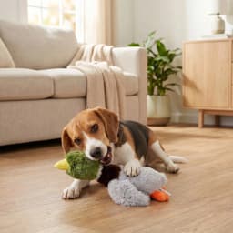 (2 pack) Vibrant Life Multicolor Floppy Mallard Duck Plush Dog Toy with Squeaker, Chew Level 2 - Thumbnail 3