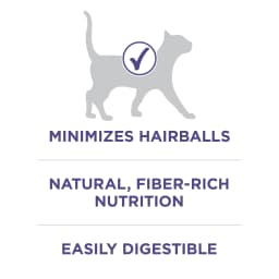 Purina ONE Plus, Hairball Formula Dry Cat Food, Chicken, 16 lb Bag - Thumbnail 4