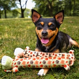 Multipet Fall Pattern 12” Smiling Dog 2pc Dog Toy Value Pack - Thumbnail 10