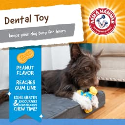 Arm & Hammer Nubbies TriOBone Durable Dental Dog Chew Toy - Thumbnail 2