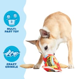 BARK 3-Part Pizza Roll Squeak Lovers Snacks Dog Toy For Medium and Large Dog Sizes - Thumbnail 3