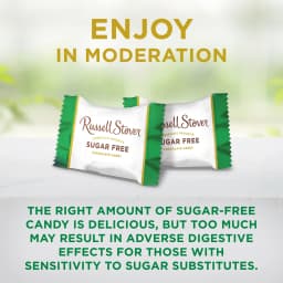 Russell Stover Sugar Free Caramel Bar with Stevia Smooth Caramel Filling in Chocolate Candy, 3 oz. Bar - Thumbnail 6