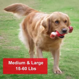 Dog Toys for Aggressive Chewers Bone Dog Toy Interactive Dog Toys for Large Dog Chew Toys for Aggressive Chewers,Dinosam Indestructible Dog Toy - Thumbnail 3