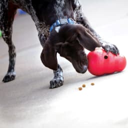 KONG® Wobbler Food-Dispensing Dog Toy, Red, Large for Dogs Between 30-65 lbs - Thumbnail 2