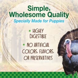Nylabone Healthy Edibles Wild Dog Treats for Puppies, Puppy Training Treats, Turkey Flavor Dog Bones, Small - Up to 30 lbs. (4 Count) - Thumbnail 3
