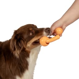 goDog Looper Puzzle Dog Toy, Orange, One Size - Thumbnail 7