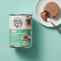 (6 pack) Special Kitty Ocean Whitefish Dinner Pate Wet Cat Food, 13 oz Can - Thumbnail 5