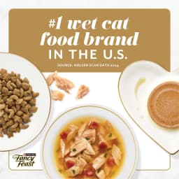 Purina Fancy Feast Savory Centers Wet Cat Food Pate Variety Pack With Chicken, Salmon, Beef, and Tuna Pate with Gravy Center, 3 oz Cans, 12 Pack - Thumbnail 8