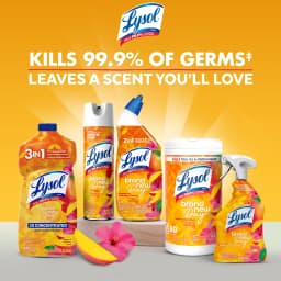 Lysol Brand New Day All Purpose Cleaner Mango & Hibiscus, Deep Clean 32 fl oz - Thumbnail 6