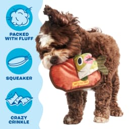 BARK Singing Bass Big Squeak Plush Dog Toy, for Small and Medium Dogs - Thumbnail 2
