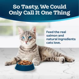 Blue Buffalo Tastefuls Dry Food, Adult Indoor Cat, Salmon and Brown Rice, 5-lb. Bag - Thumbnail 3