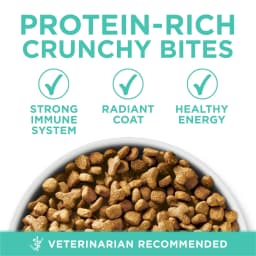 Purina ONE Plus, Sensitive Skin & Stomach, Dry Cat Food, Turkey, 16 lb Bag - Thumbnail 3