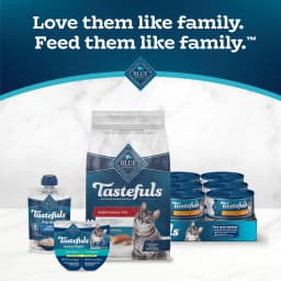 Blue Buffalo Tastefuls Dry Food, Adult Indoor Cat, Salmon and Brown Rice, 5-lb. Bag - Thumbnail 9