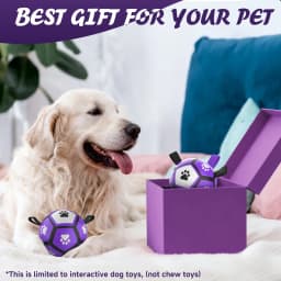 QDAN Durable Dog Toys Soccer Ball with Nylon Straps Hand Pump for Puppies Small Dogs, Purple & Gray, 5-inch - Thumbnail 4