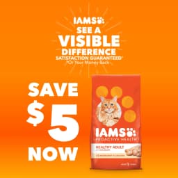Iams Proactive Health Chicken Dry Cat Food For Kittens, 7 Lb Bag - Thumbnail 16