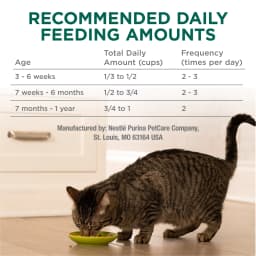 Purina Kitten Chow Naturals Chicken Flavor Dry Cat Food for Kittens, 6.3 lb. Bag, 4 Pack - Thumbnail 10