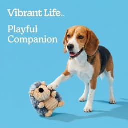 Vibrant Life Gray Hedgehog Plush Dog Toy with Squeaker, Chew Level 2 - Thumbnail 4
