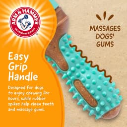 Arm & Hammer Tools 7.5" Wood Mix Paintbrush Durable Dental Dog Chew Toy - Thumbnail 4