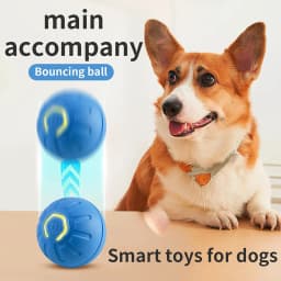 Pcksrro Pet Toys Indoor Interactive Pet Toys Automatic Mobile Pet Toy USB Rechargeable Smart Toy Two Speed Adjustable With Tail - Thumbnail 7