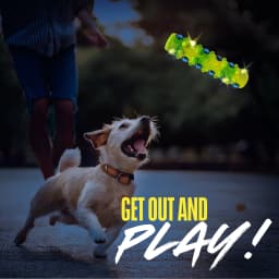 Nerf Dog TPR LED Bubble Light Up & Squeak Stick, 7 inch - Thumbnail 4