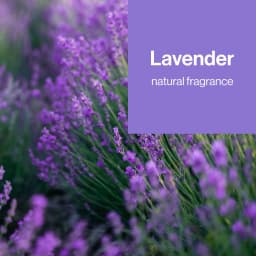 The Honest Company Lavender Sanitizing Alcohol Wipes, Antibacterial with Aloe, Kills 99.99% of Germs, 50 Count - Thumbnail 6