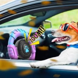 Pet Deluxe Dog Toys for Aggressive Chewers Large Dogs Squeaky Dog Chew Toys for Large Medium Breed Nylon Rubber Interactive Tough Dog Toys to Keep - Thumbnail 4