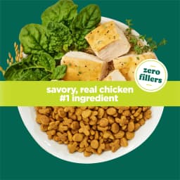 Purina Kitten Chow Naturals Chicken Flavor Dry Cat Food for Kittens, 6.3 lb. Bag, 4 Pack - Thumbnail 5