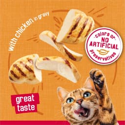 Purina Friskies Prime Filet, Chicken in Gravy, Wet Cat Food, 5.5 oz Can, - Thumbnail 4