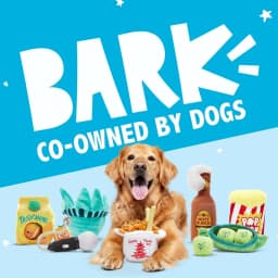 BARK Dingbert the Dragon Plush Dog Toy - Thumbnail 6