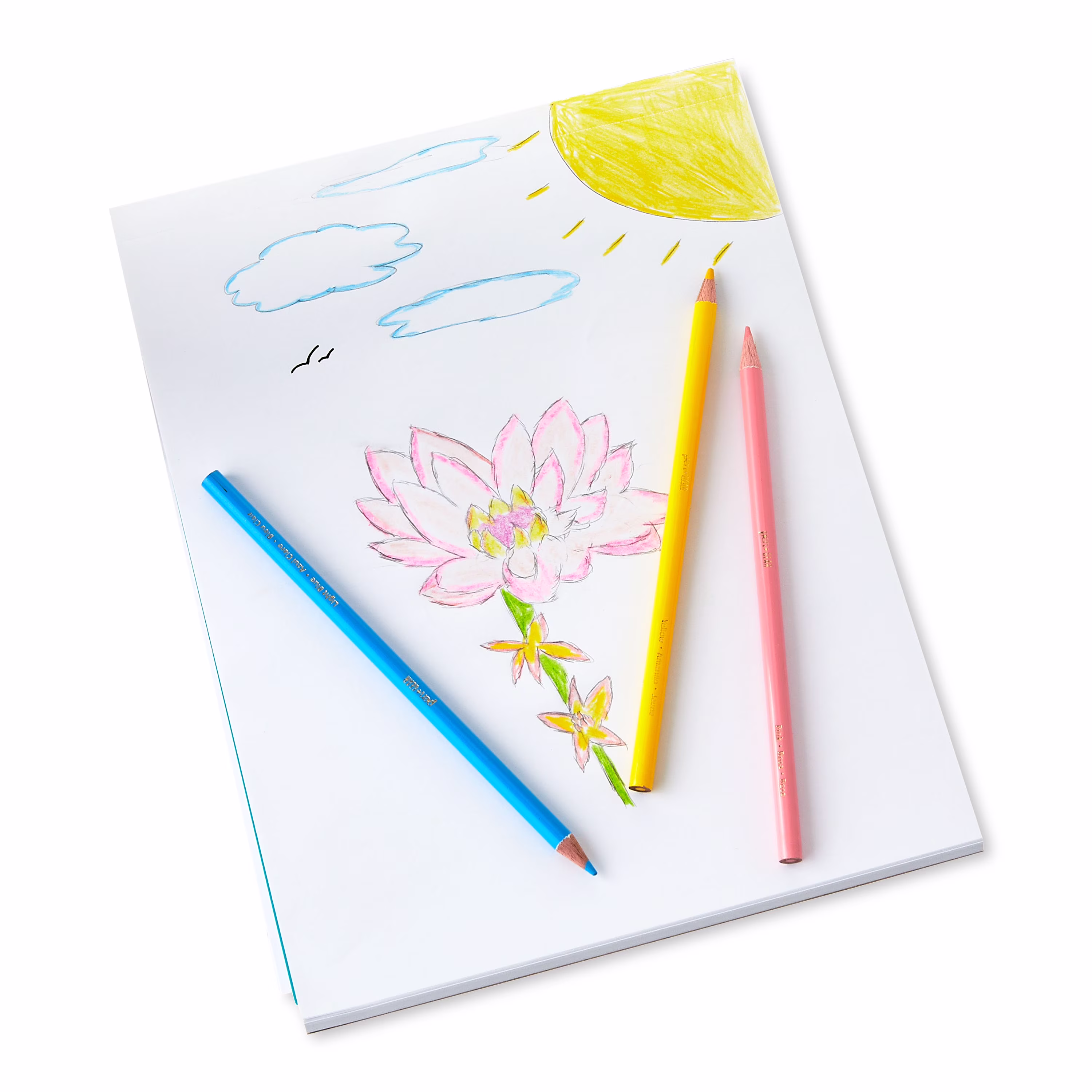 Pen+Gear Sharpened Colored Pencils, Assorted Colors, 12 Count - Thumbnail 5